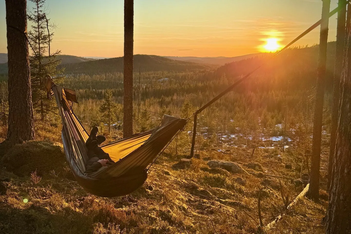 Hammockkit i skogen